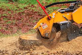 Best Tree Mulching  in Felida, WA